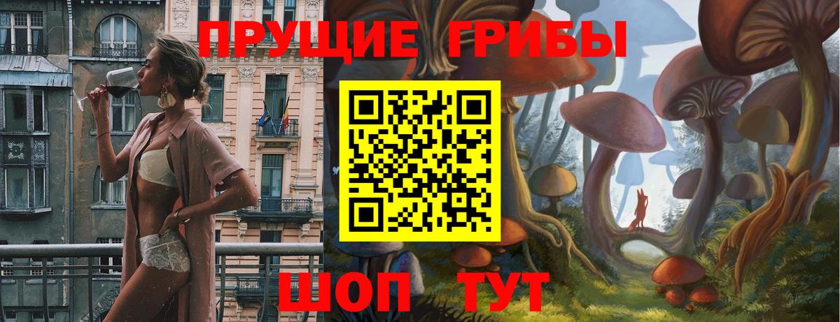 Амурск  Псилоцибиновые грибы Psilocybe  Вход с VPN 