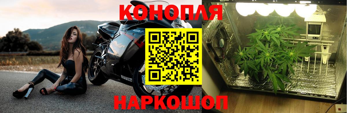 Бошки Шишки Amnesia  Канабис планчик  Шишки марихуана Bruce Banner  Амурск  Вход с VPN 